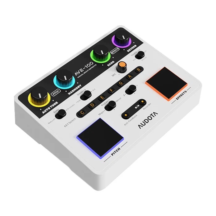 AUDOTA Professional Vocal Multi-Effects Unit- Harmony Generator, Auto-Tune, and Feedback Suppression with XLR Outputs - Image 2