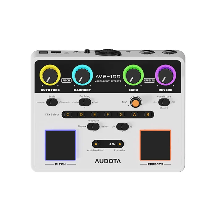 AUDOTA Professional Vocal Multi-Effects Unit- Harmony Generator, Auto-Tune, and Feedback Suppression with XLR Outputs - Image 5