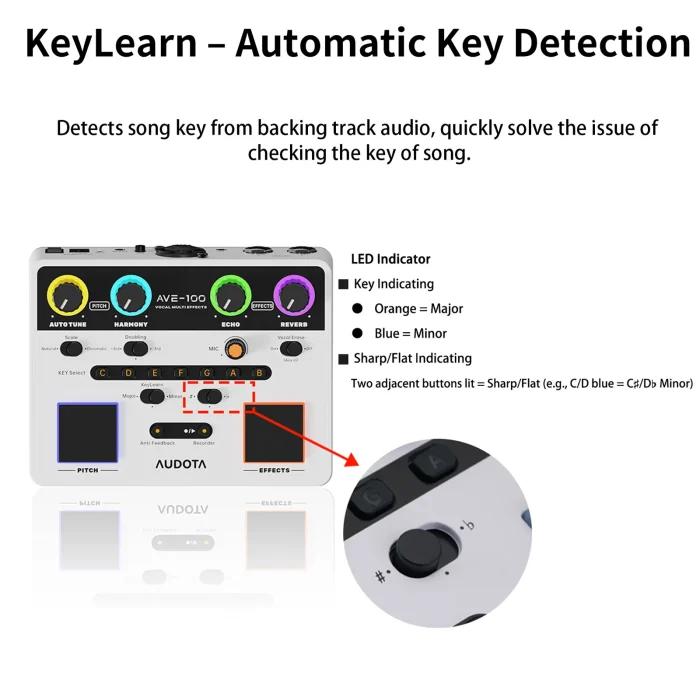 AUDOTA Professional Vocal Multi-Effects Unit- Harmony Generator, Auto-Tune, and Feedback Suppression with XLR Outputs - Image 4