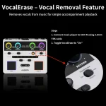 AUDOTA Professional Vocal Multi-Effects Unit- Harmony Generator, Auto-Tune, and Feedback Suppression with XLR Outputs - Image 6